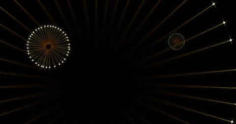 Bright fireworks bursting in dark night sky