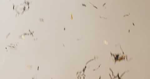 Golden Confetti Falling on White Background