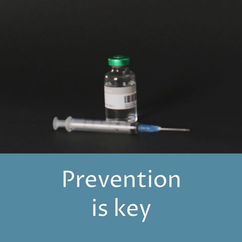Syringe and Vaccine Promotion Concept on Black Background - Download Free Stock Templates Pikwizard.com