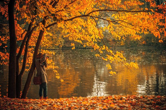 Shows person photographing autumn leaves beside a tranquil lake. Use for themes of nature photography, fall season, outdoor activities, peace, and tranquility. Great for advertisements related to photography, travel, and seasonal promotions.