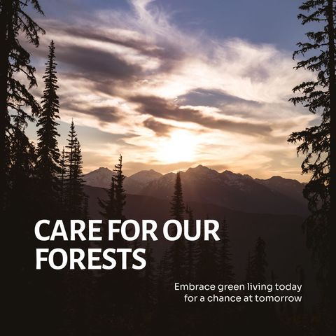 sunset over forested mountain with environment message - Download Free Stock Templates Pikwizard.com