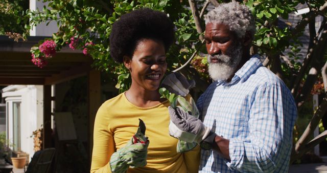 Smiling african american couple gardening in sunny garden looking at a tree cutting. staying at home in isolation during quarantine lockdown.
