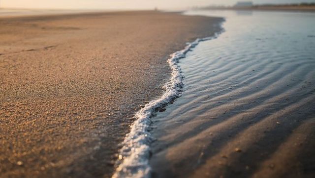 Sunlit foam tracing along wet sand at low tide with rippling tidal water
