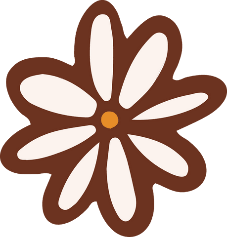 transparent flat daisy flower with ivory petals and brown outline - Download Free Stock Videos Pikwizard.com