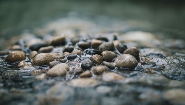 Wet river pebbles glinting in shallow stream bed with rippling water and bokeh