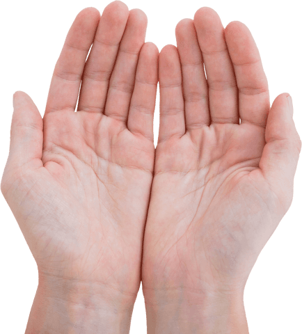 open female hands with palms up transparent background - Download Free Stock Videos Pikwizard.com