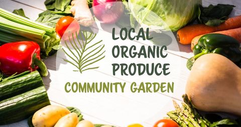 Local Community Garden Organic Veggie Harvest - Download Free Stock Images Pikwizard.com