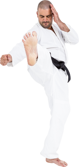 Transparent Karate Martial Artist Kicking Stance - Download Free Stock Videos Pikwizard.com