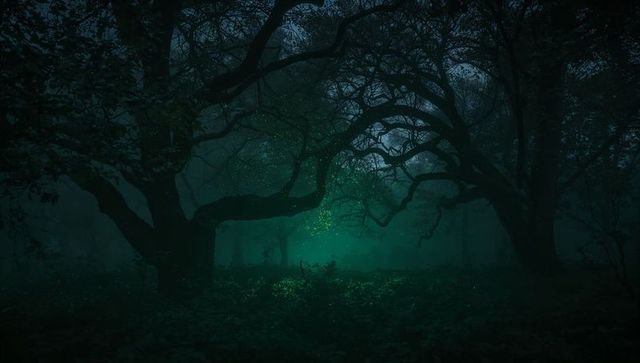 Gnarled Trees Forming Arch with Green Bioluminescent Glow in Enchanted Foggy Night Forest