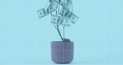 Money tree with grid overlay symbolizing financial growth