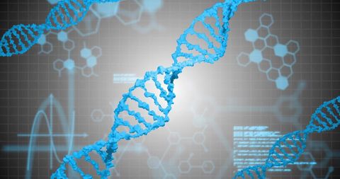Digital DNA Strand with Molecular Structure in Futuristic Background - Download Free Stock Images Pikwizard.com