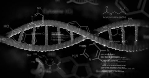 dna structure animation with scientific data overlay - Download Free Stock Images Pikwizard.com