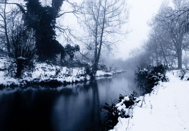 Misty Winter Landscape With Snow Covered Riverbank and Bare Trees - Download Free Stock Photos Pikwizard.com