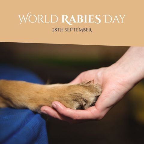 World rabies day awareness concept with human hand holding dog paw