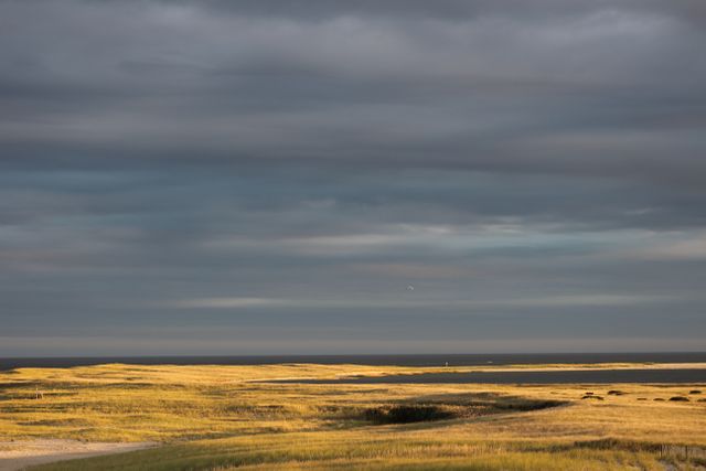 Golden light illuminates coastal grassland, creating a stark contrast with a stormy, overcast sky in this scenic view. The horizon meets the ocean in the distance, capturing the tranquility and natural beauty of the seaside. Ideal for use in travel websites, nature articles, meditation apps, or any publications emphasizing natural landscapes and serene environments.