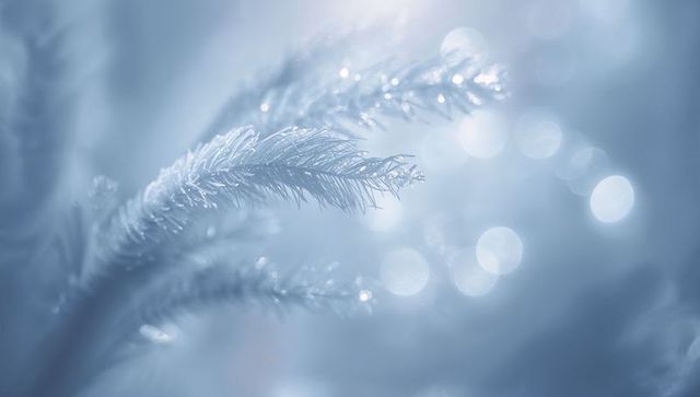 Shimmering frost-covered conifer needles with delicate ice crystals and blue bokeh