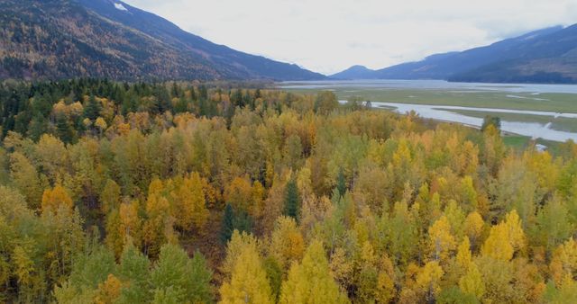 Beautiful autumn forest beside a wide river with lush vegetation in foreground and mountain range in background. Perfect for illustrating nature's beauty in fall, travel blogs, tourism promotions, environmental conservation campaigns, desktop backgrounds, and autumn-themed designs.
