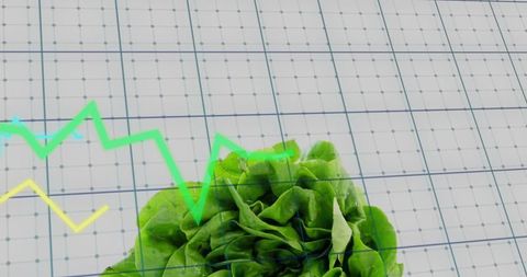 Fresh green lettuce resting on grid with chart lines symbolizing food market trends