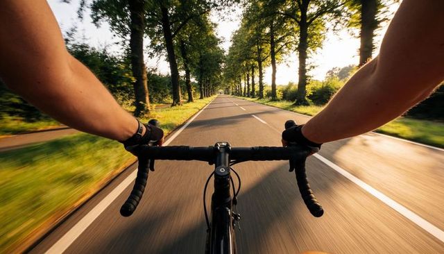 Pov road cycling along tree-lined country road at golden hour, sunlit, speed and adventure