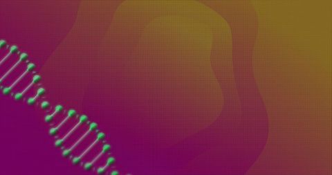 colorful dna helix on gradient background illustrating biotechnology - Download Free Stock Images Pikwizard.com