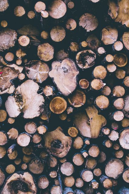 This image shows a top view of numerous wooden logs stacked together, displaying their cross-sections and natural textures. Ideal for illustrating topics related to carpentry, woodworking, sustainable materials, forest products, and outdoor firewood supplies. Also useful as a background image for nature or conservation-themed projects, or graphics related to natural resources and raw materials.