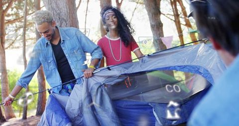 Campers erecting blue dome tent in sunlit pine forest, teamwork camping outdoor lifestyle