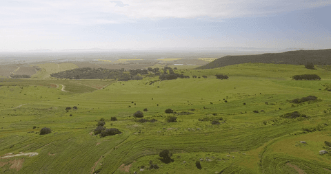 transparent sky over rolling green fields landscape - Download Free Stock Videos Pikwizard.com