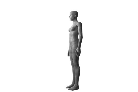 3D Model Woman in Transparent Background Digital Illustration - Download Free Stock Videos Pikwizard.com