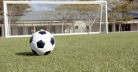 Soccer Ball on Green Field Near Goal Summary Background