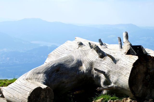 Weathered tree log resting on grassy foreground with expansive, foggy mountainous landscape in background. Perfect for showcasing nature’s raw beauty, hiking scenery, peaceful countryside, invitations to outdoor activities, eco-tourism promotions, or as a background image for environmental projects.
