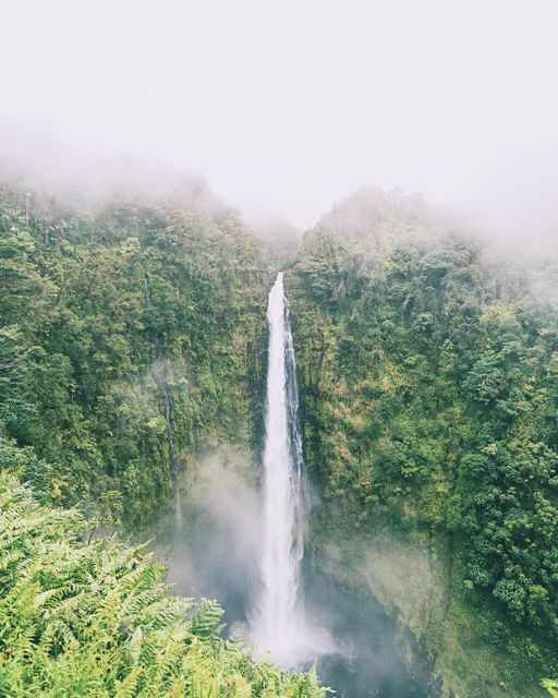 Misty scene showing tall waterfall cascading down cliff surrounded by lush greenery and fog. Perfect for promoting natural beauty, travel agencies, relaxation themes, or environmental awareness campaigns.