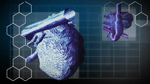 Innovative Digital Rendering of Human Heart for Research