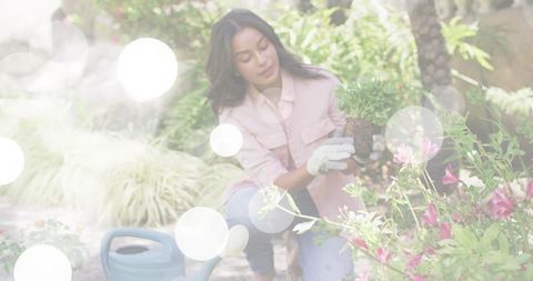 Kneeling woman planting shrub in sunlit garden holding root ball near blue watering can