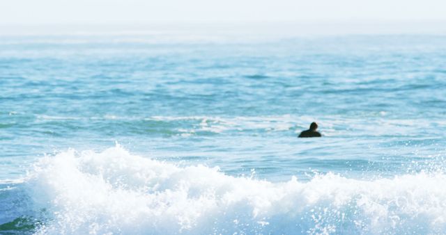 Surfer Paddling in Vast Ocean - Download Free Stock Images Pikwizard.com