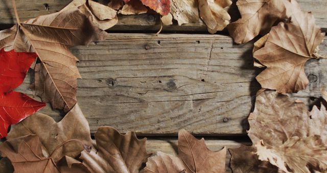 Dry autumn leaves in brown, red and orange colors placed on an old weathered wooden table. Perfect for use in seasonal greetings, backgrounds, or advertisements related to fall themes.