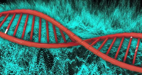 abstract dna strand and digital data representation - Download Free Stock Images Pikwizard.com