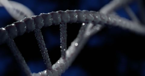 Close-up of dna helix macro shot in dark environment