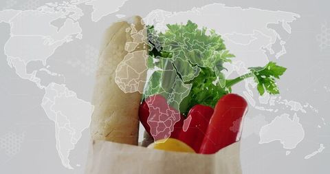 Holding paper grocery bag with baguette, celery, red peppers and lemon featuring world map overlay