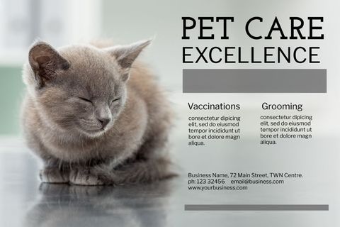 Cozy Cat Relaxation for Pet Care Services Ad Template - Download Free Stock Templates Pikwizard.com
