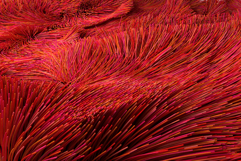 Vibrant red fiber optic patterns creating transparent visual symphony