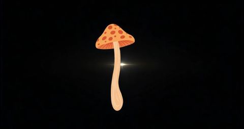 Glowing floating mushroom with spotted cap and subtle lens flare minimalist fantasy