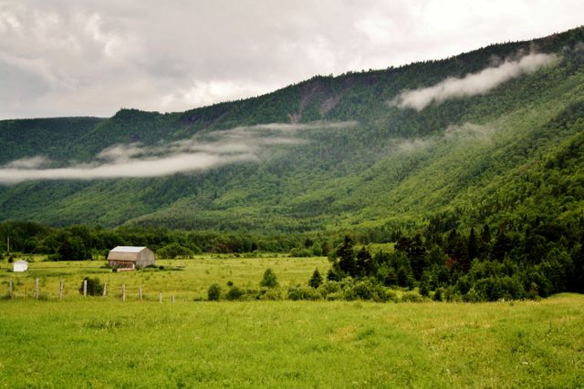 Green Grass Fields Beside Green Mountains Under White Sky during Daytime - Download Free Stock Photos Pikwizard.com