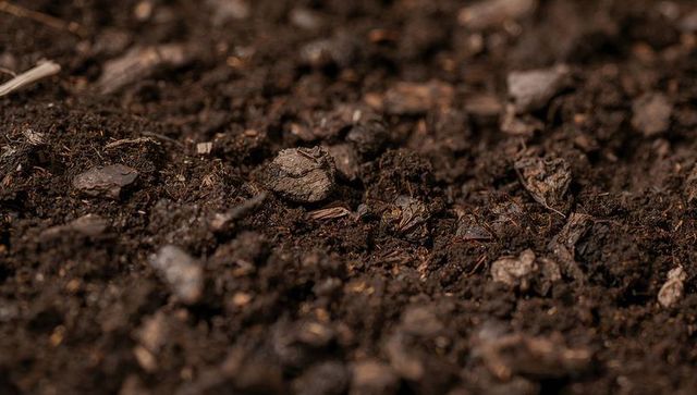 Rich Potting Soil Macro Showing Organic Bark Chips and Dark Granular Texture for Gardening