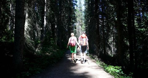 young couple hiking in dense forest with backpacks - Download Free Stock Images Pikwizard.com