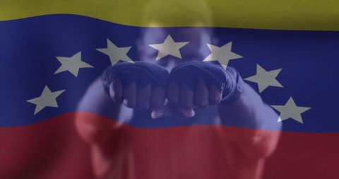 Boxer with Venezuela Flag Overlay