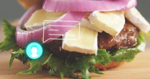 Gourmet Burger with Cheese and Onions and Social Media Icons