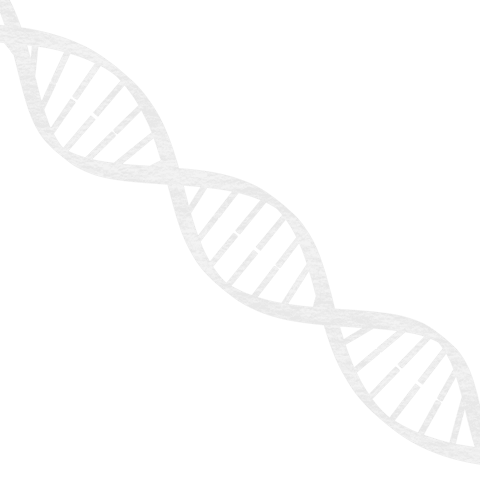 transparent dna helix illustration on clear background - Download Free Stock Videos Pikwizard.com
