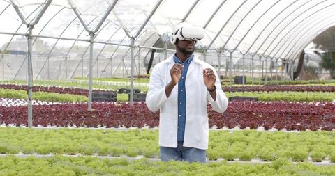 Innovative vr usages in sustainable hydroponic farming
