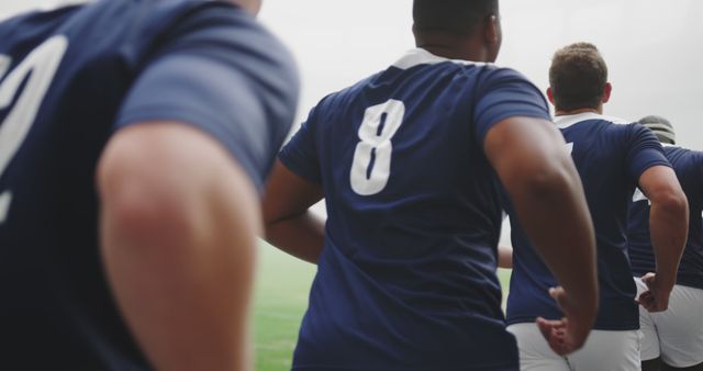 Rugby players in action on field wearing blue jerseys with numbers - Download Free Stock Images Pikwizard.com