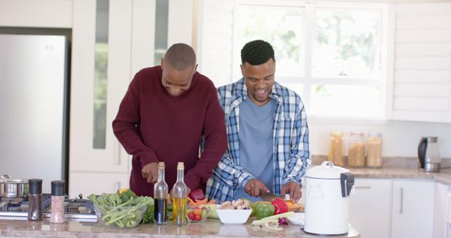 Happy diverse gay couple preparing meal in kitchen at home. Togetherness, relationship, cooking and domestic life, unaltered
